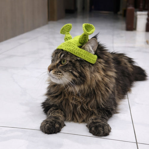 Alien Cat Hat Pattern